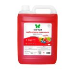 Jabón Líquido Para Manos Antibacterial Frutos Rojos Daryza x 4 L